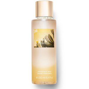 Victoria's Secret Oasis Blooms 8.4 oz (NEW)